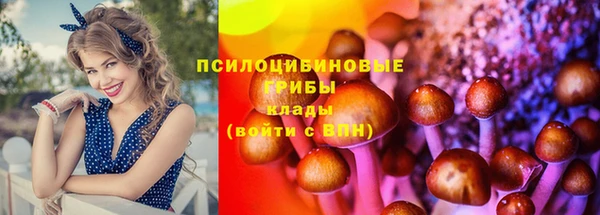 мескалин Киреевск